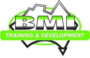 BMI-01 Logo  re size website.jpg